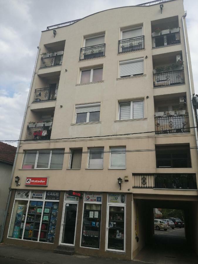 New And Nice Apartments Kragujevac Exterior foto